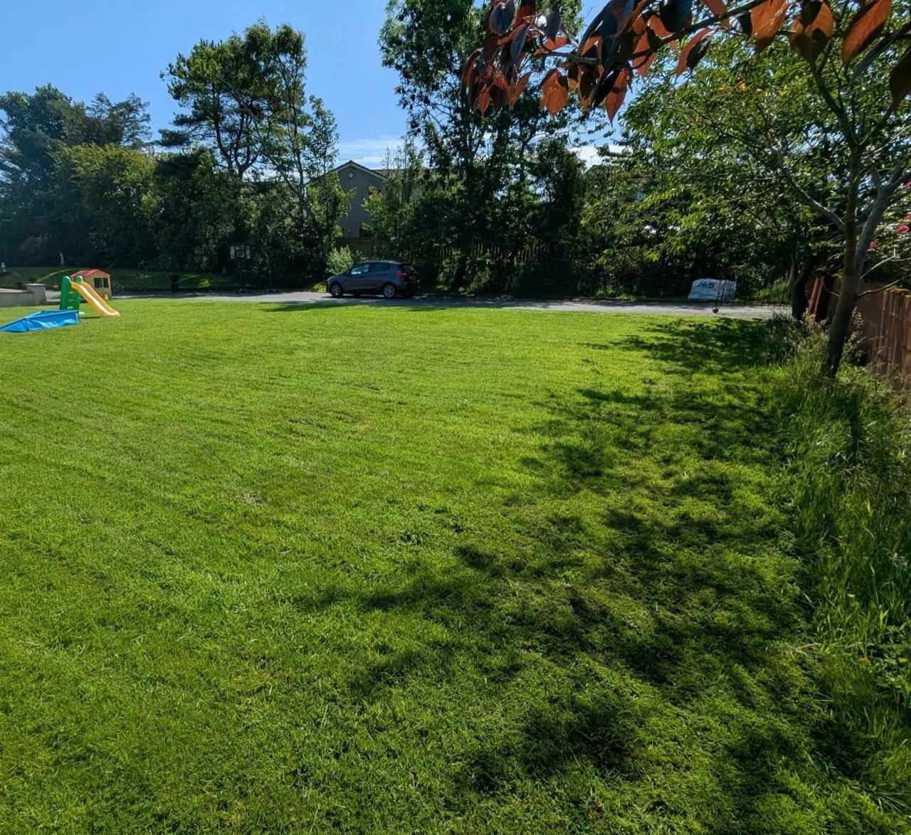 Freshly cut and edged lawn maintained by SA Lawn and Grounds