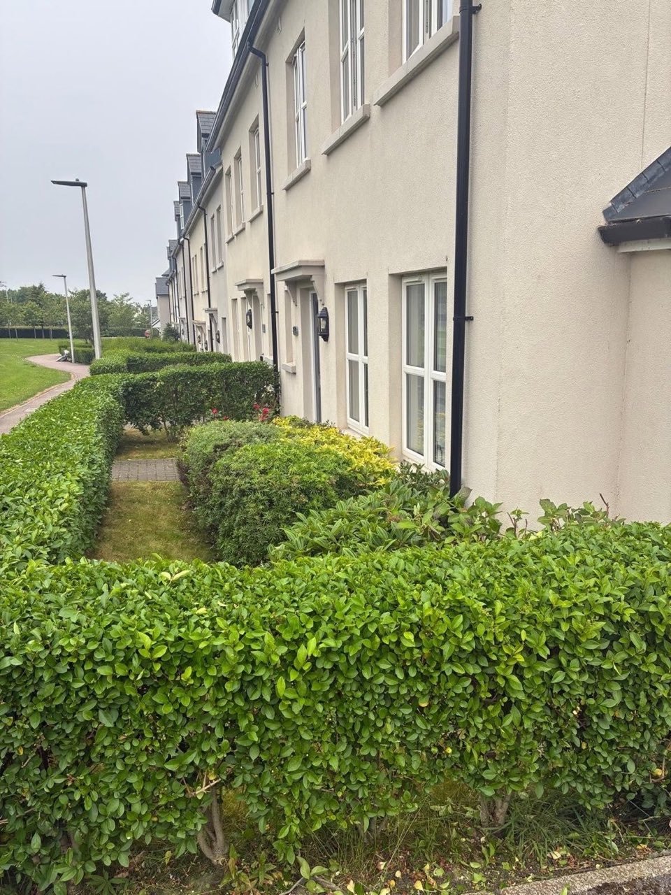 Neatly maintained lawn and borders by SA Lawn and Grounds