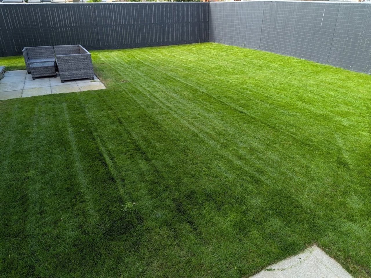 Cared for lawn and grounds by SA Lawn and Grounds in Aberdeenshire