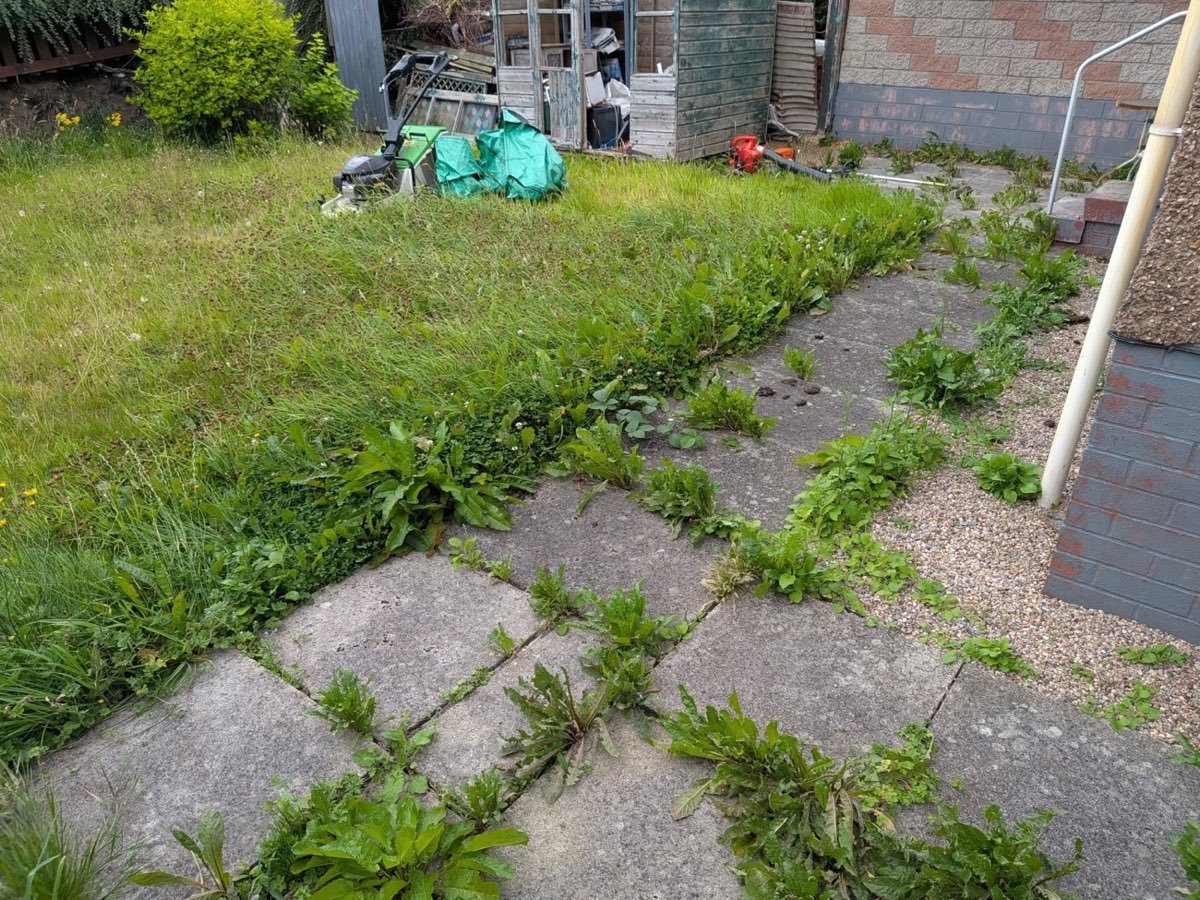 Untidy lawn before grounds maintenance by SA Lawn and Grounds in Aberdeen