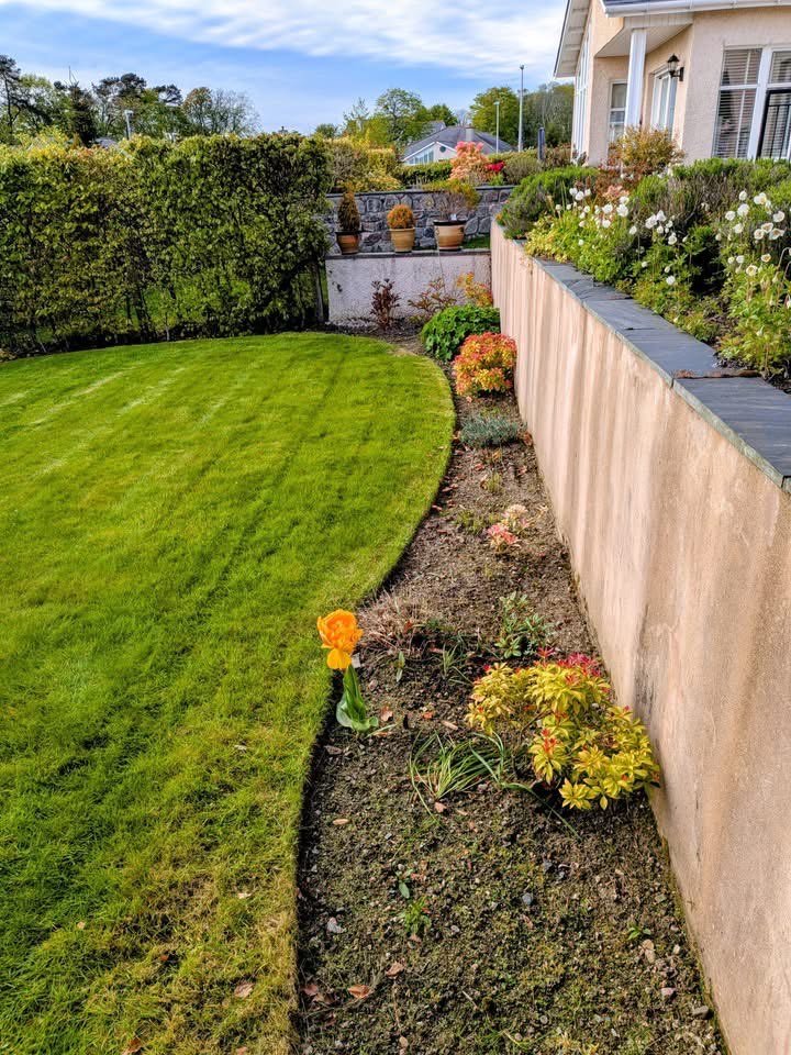 Manicured lawn with a curved planted border and retaining wall finished by SA Lawn and Grounds in Aberdeenshire